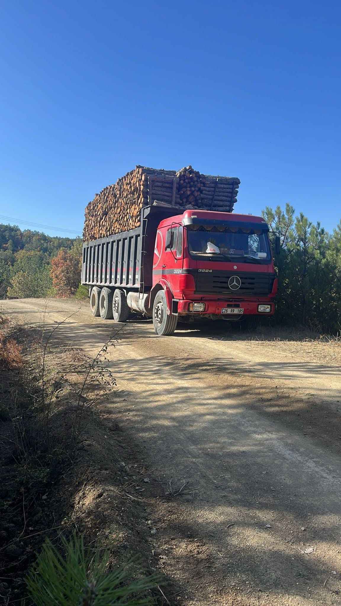 Şanver Orman Ürünleri ve Nakliye
